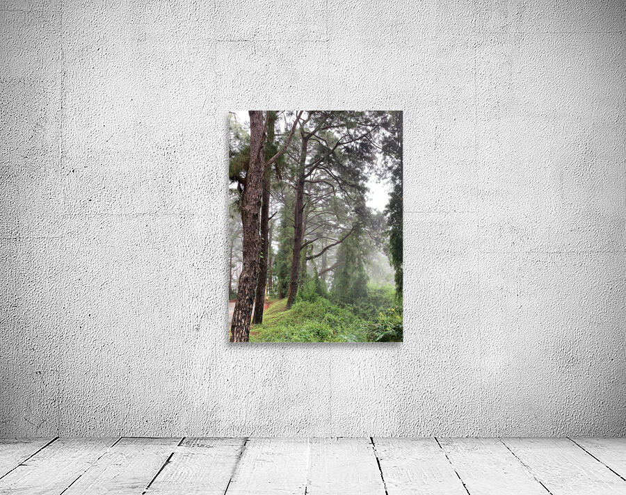 Trees of Mystery Wall Preview