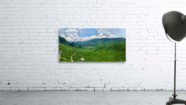 Tea Plantations 8 Wall Preview