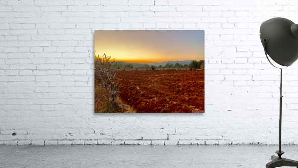 Sunset Over the Red Soil  Wall Preview