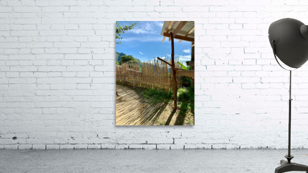 Sun Through the Bamboo Fence Wall Preview