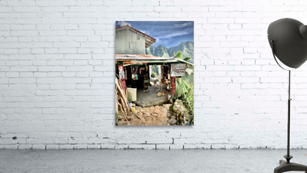 Shop in the Mountains Wall Preview