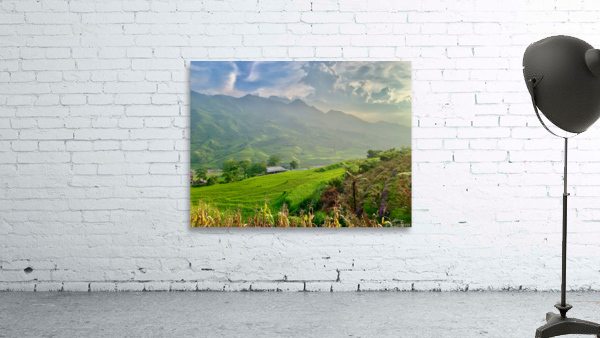 Dreamy Sunset Over the Rice Fields 2 Wall Preview