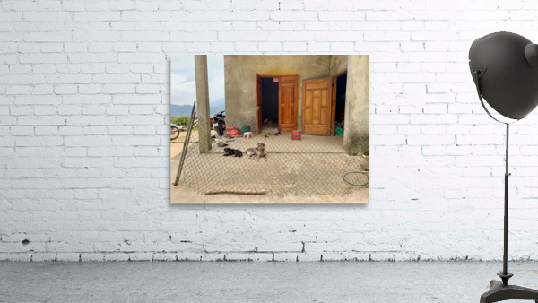 Behind the Crooked Fence Wall Preview