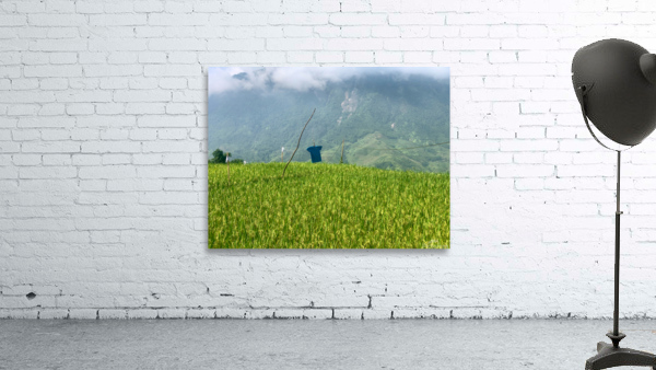 Asian Scarecrow Wall Preview