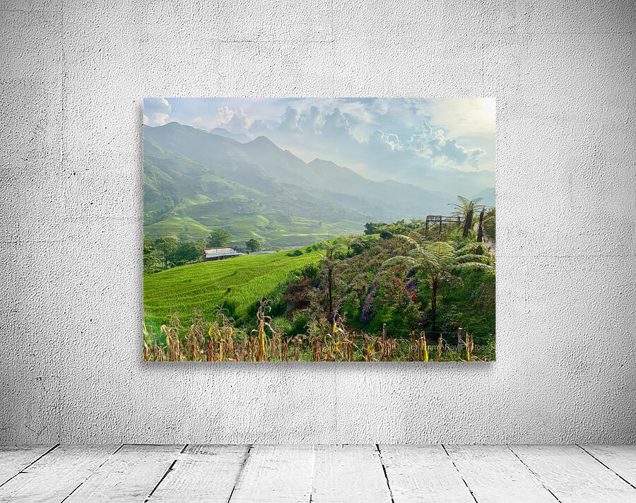 Dreamy Sunset on the Rice Fields Wall Preview