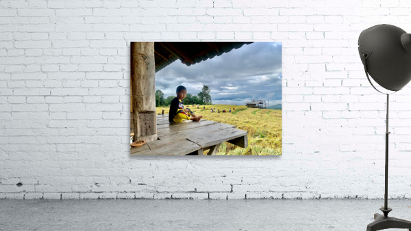 Boy Looking Over the Rice Field Wall Preview