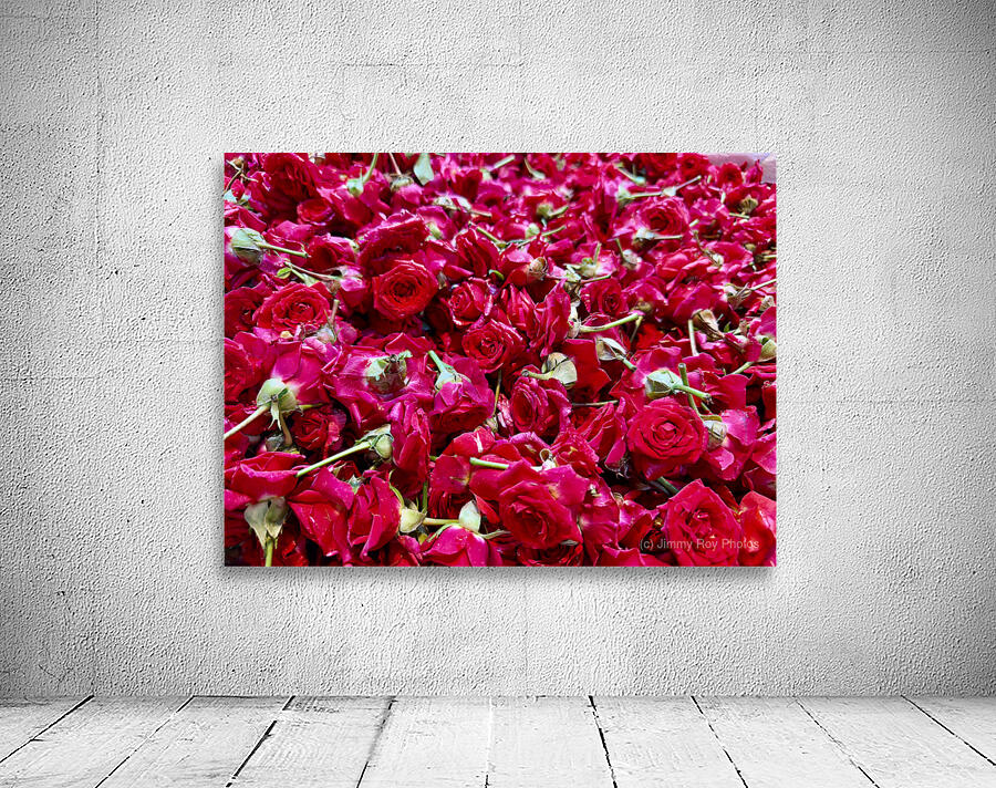 Many Roses Wall Preview