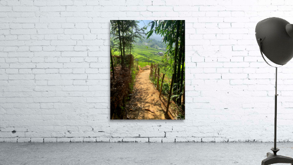 Enter the Rice Fields Wall Preview