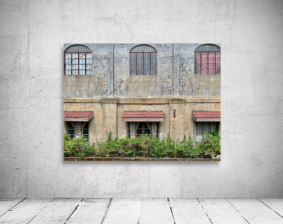 Nice Building Facade Wall Preview