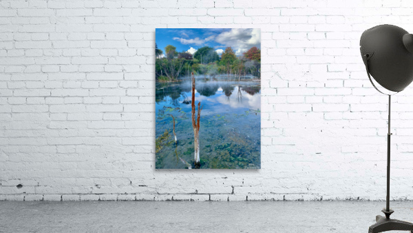 Mysterious Reflection Wall Preview