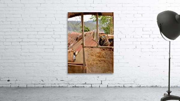 The Cat Living in the Ambulance Wall Preview