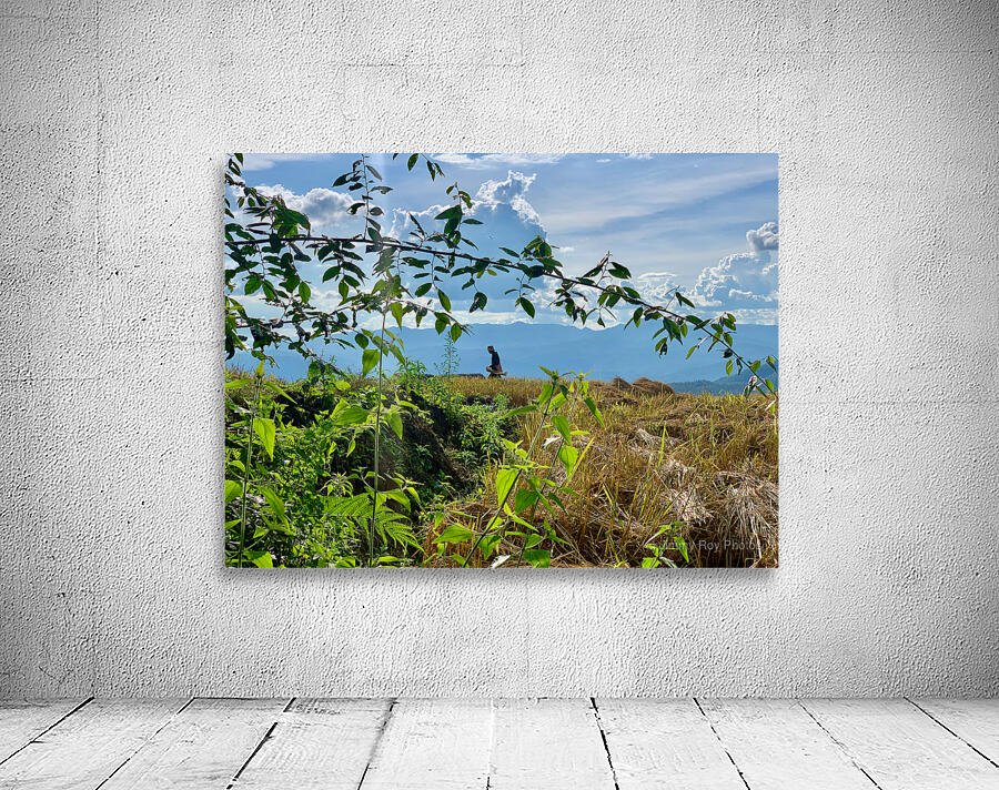 Working the Rice Fields Wall Preview