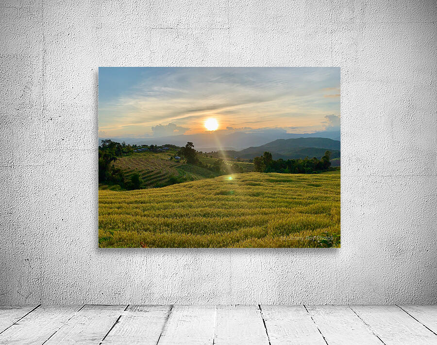 Sunset over the Rice Fields Wall Preview