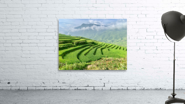 Rice Fields Going Down Wall Preview