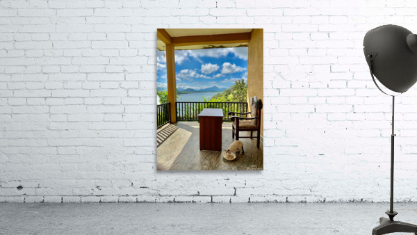 Cat Eating with a View Wall Preview