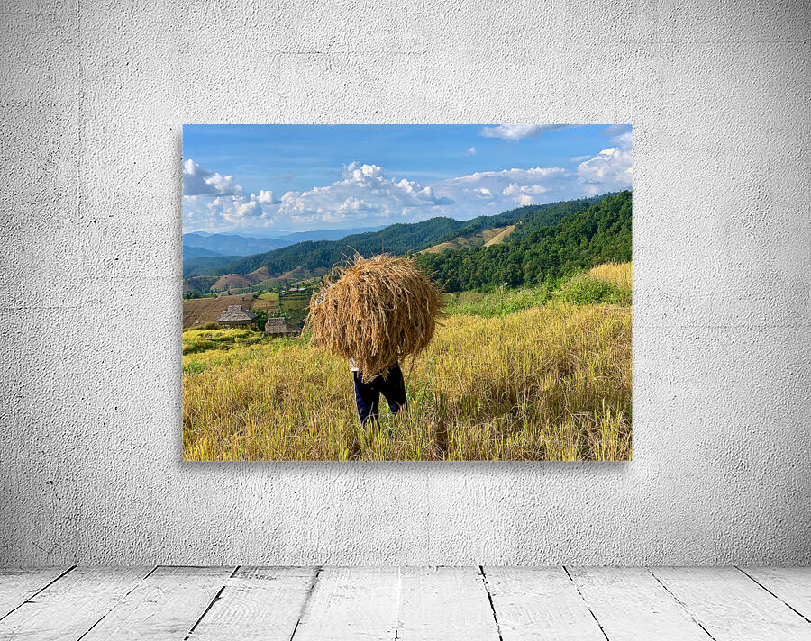 Behind the Rice Wall Preview