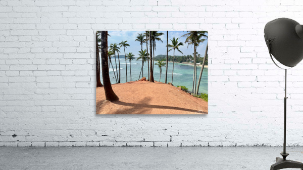 Coconut Hill Wall Preview
