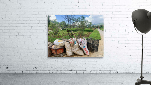 Lets Clean the Park Wall Preview