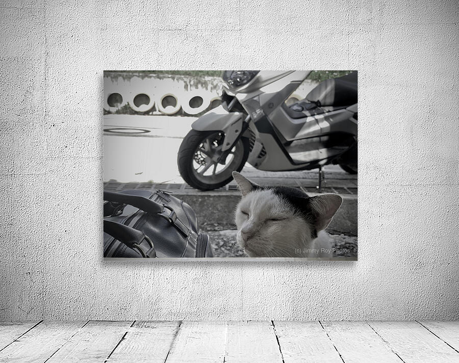 I Closed my Eyes Again   Cat Wall Preview