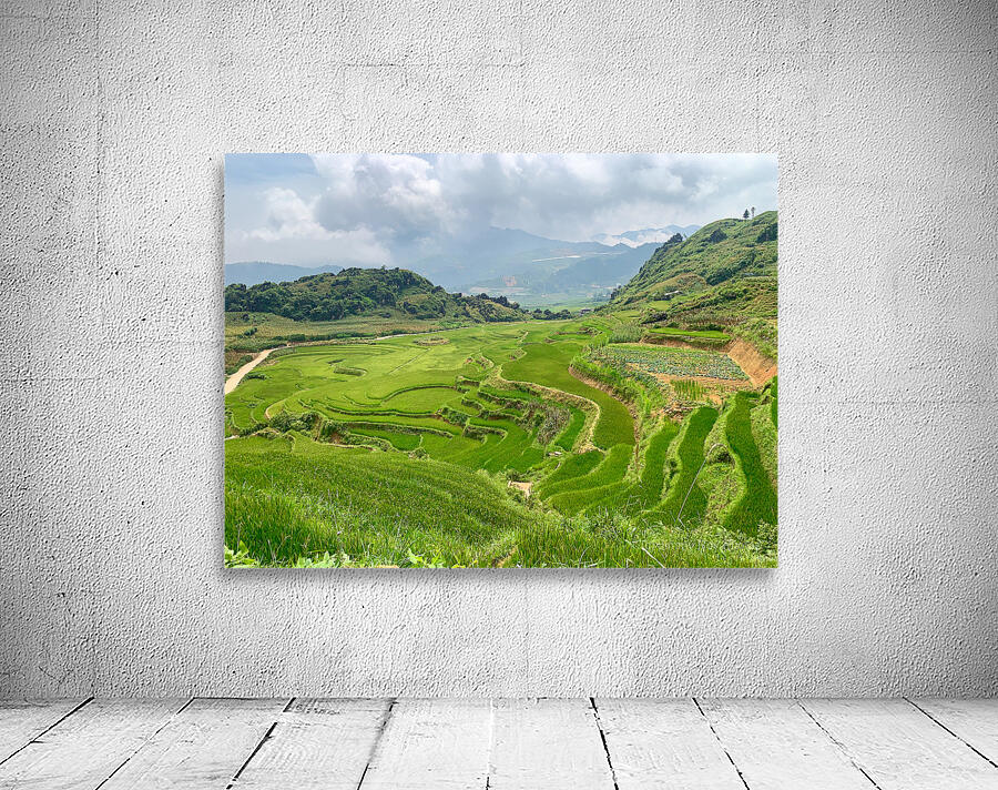 Rice Plateau Wall Preview