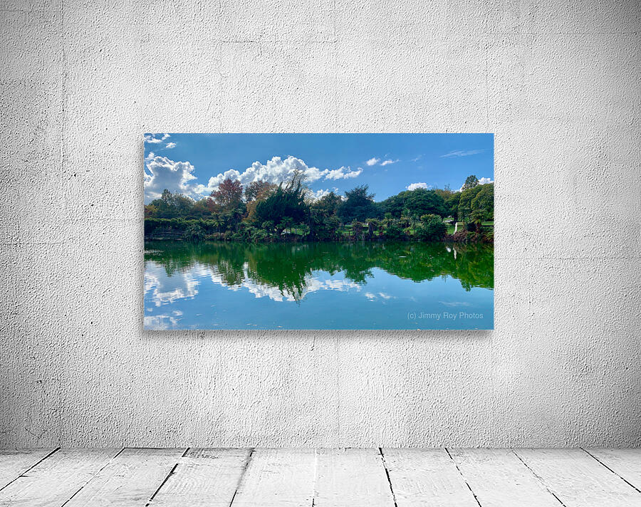 Nature s Own Reflection Wall Preview