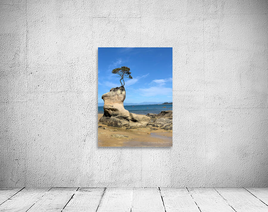 Tree Over The Rock Wall Preview