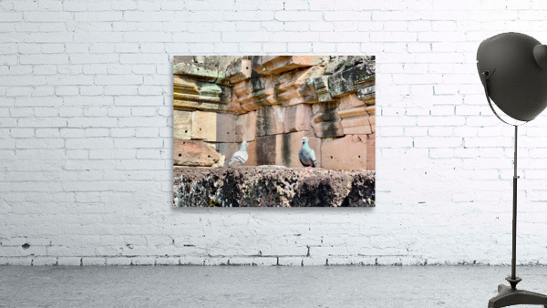 Birds in Historical Site Wall Preview