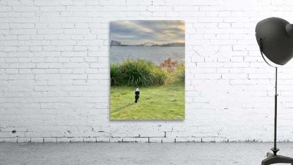 Bird Looking at the Bridge Wall Preview