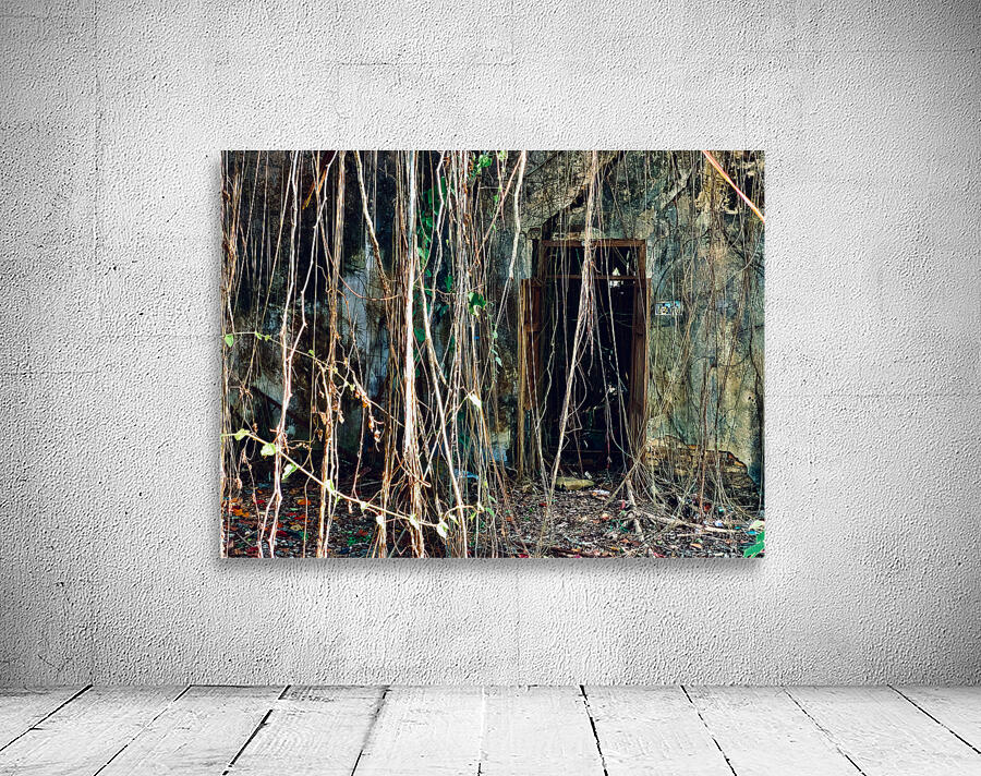 Find the Entrance Wall Preview