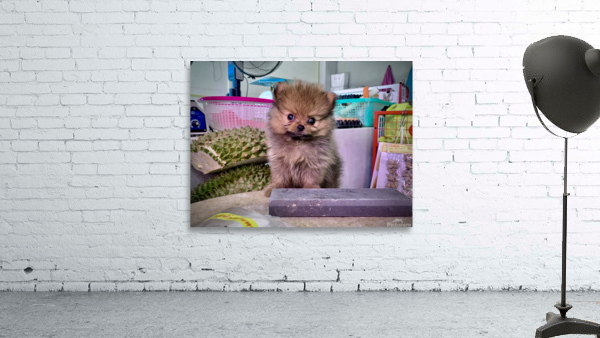 Furry Puppy Wall Preview