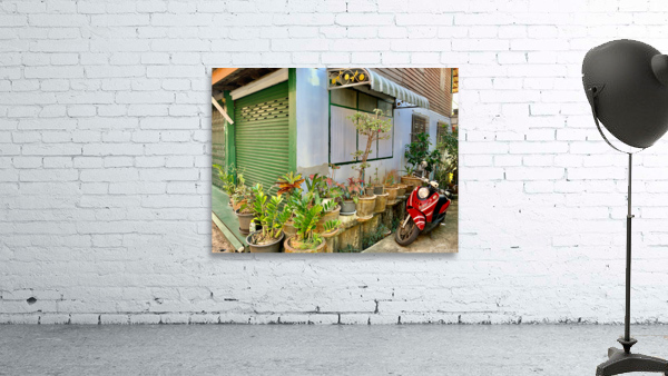 Plants on the Corner Wall Preview