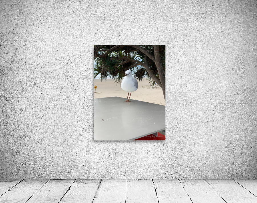 One Leg Balance Wall Preview