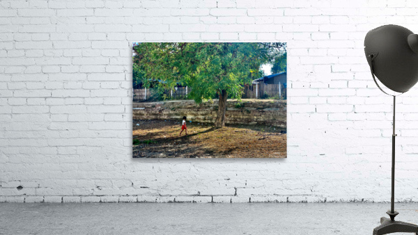 The Little Girl and the Tree Wall Preview