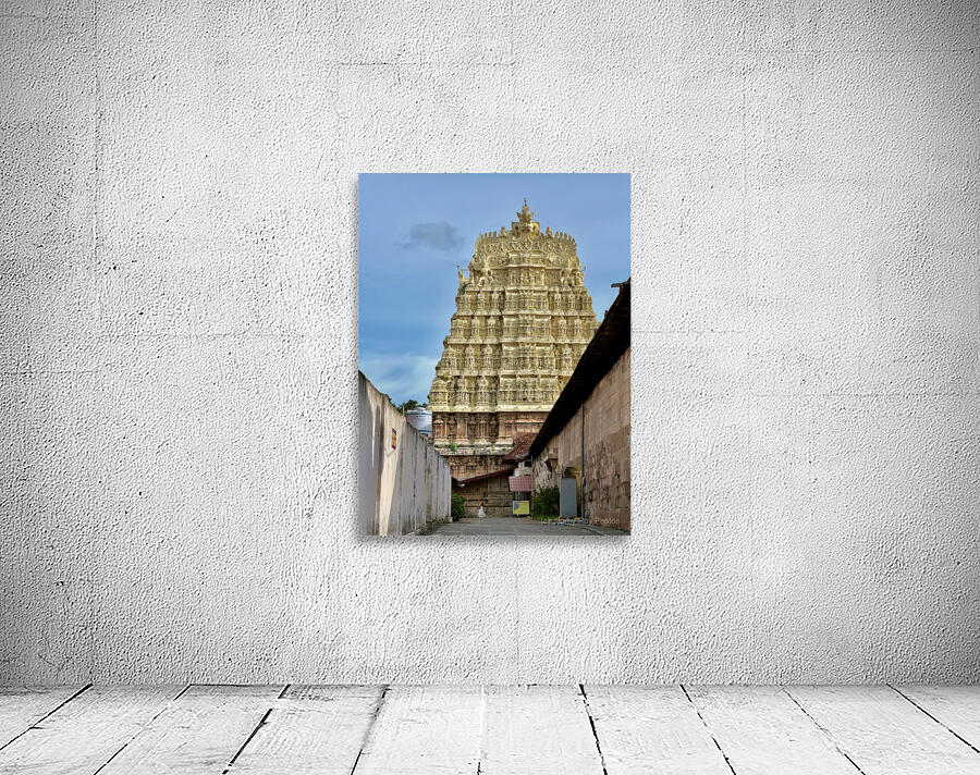 Side of Sree Padmanabhaswamy Temple Wall Preview