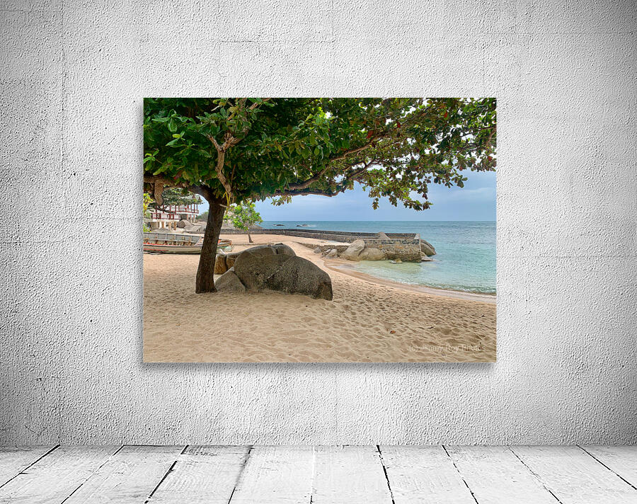 Tree on the Beach Wall Preview