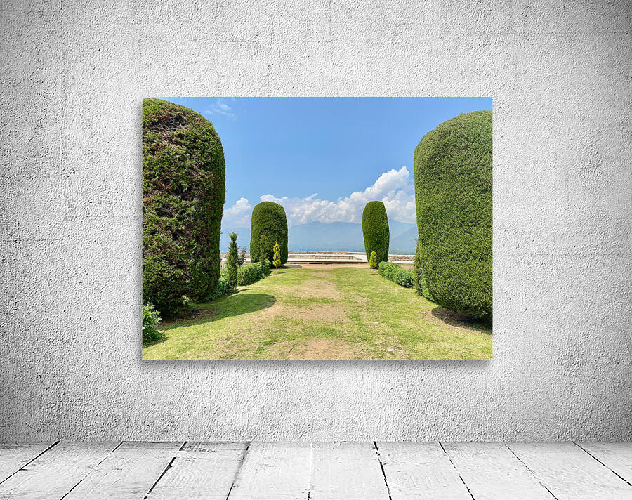 View from Pari Mahal Srinagar 2 Wall Preview