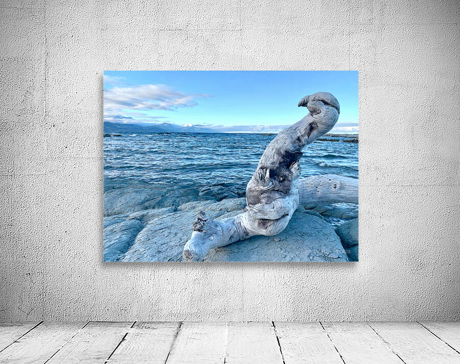 Bird Shaped Wood in Front of the Ocean Wall Preview