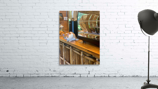 A Cat Named Cappucino Wall Preview