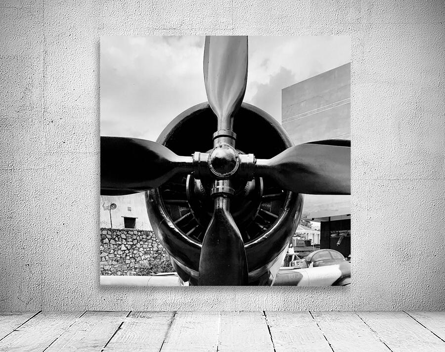 BW Propellers Wall Preview