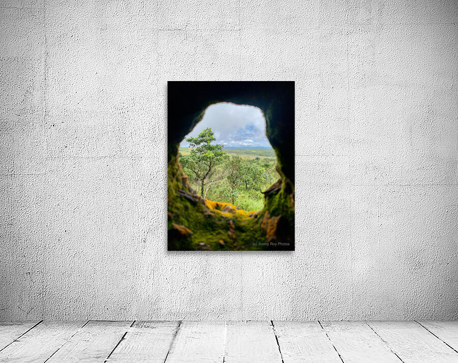 Nature Through the Hole Wall Preview