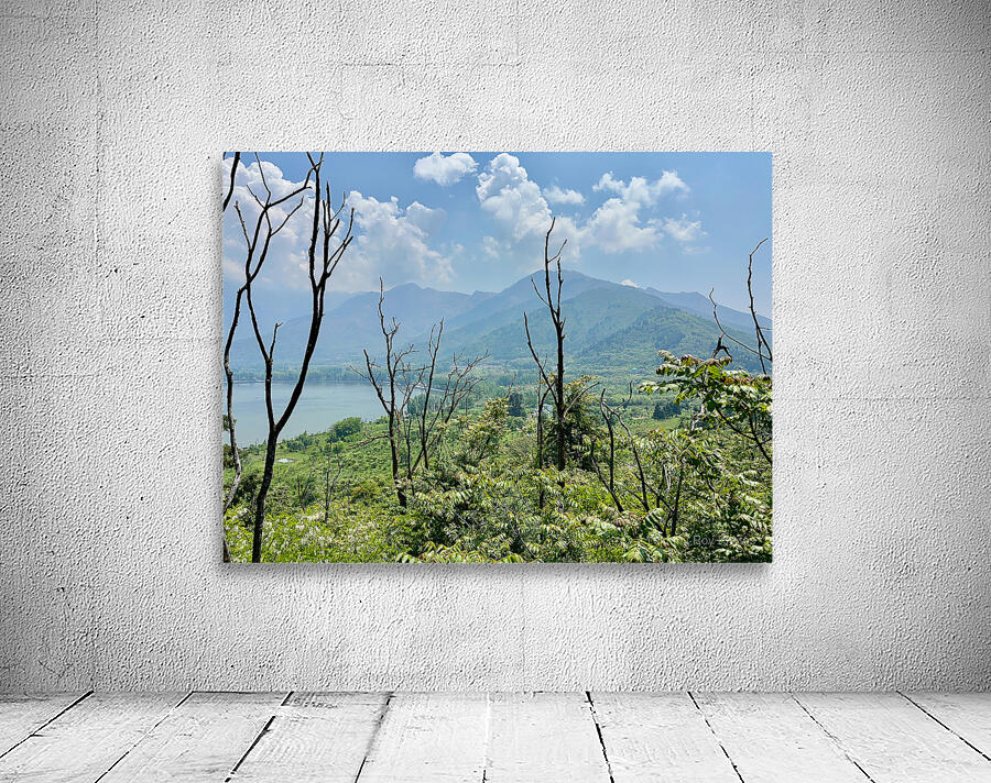 Mountains Behind the Branches Wall Preview