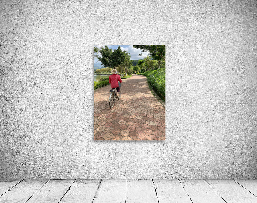 The Bike Path Wall Preview