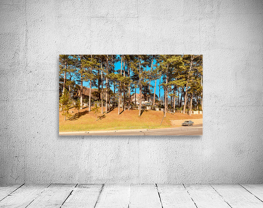 You Forgot Your Car Wall Preview