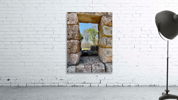 There is a Tree Outside Wall Preview