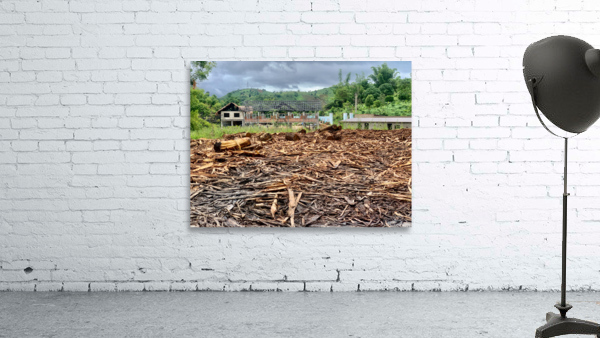 Fading Wood Wall Preview