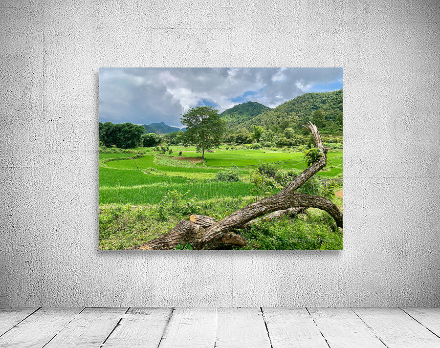 Beautiful Green Scenery Wall Preview