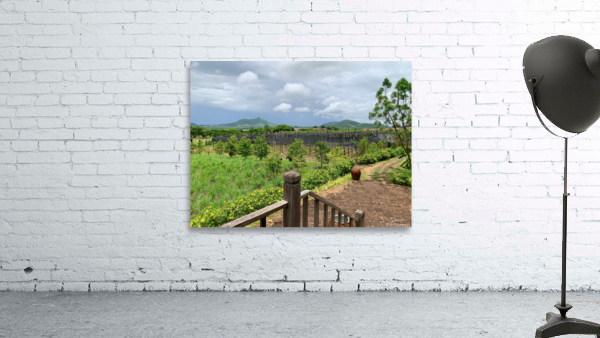 The Pepper Plantations Wall Preview