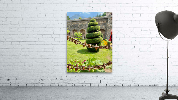 Spiral Tree Wall Preview