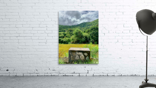 Block on Nature Wall Preview