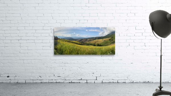 Beautiful Rice Field 2 Wall Preview